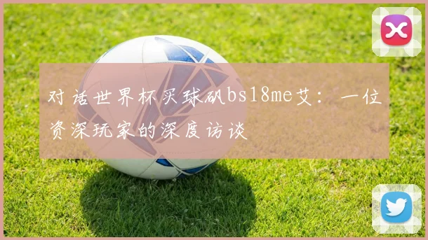 对话世界杯买球矾bs18me艾：一位资深玩家的深度访谈