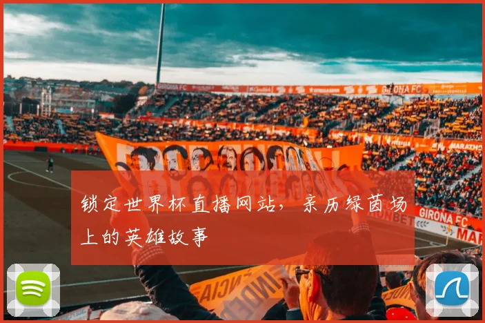锁定世界杯直播网站，亲历绿茵场上的英雄故事