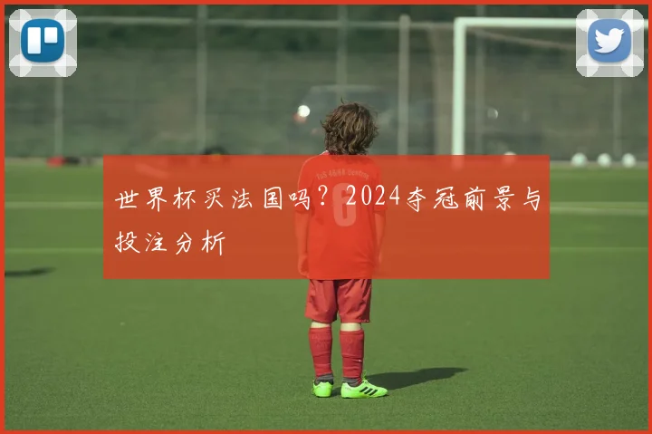 世界杯买法国吗?2024夺冠前景与投注分析