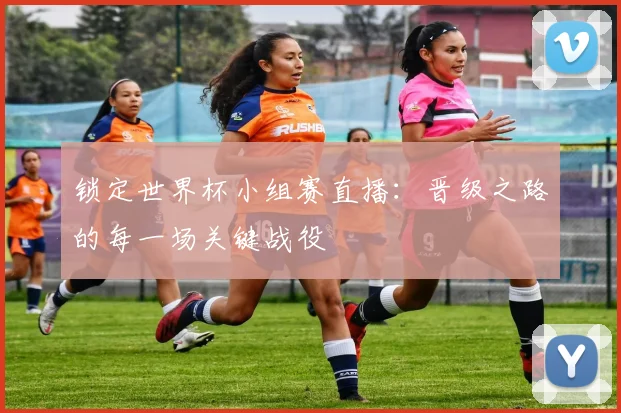 锁定世界杯小组赛直播：晋级之路的每一场关键战役