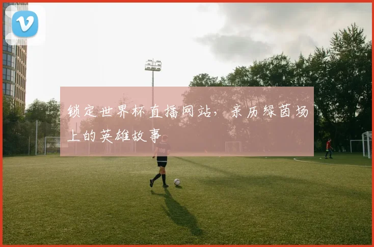 锁定世界杯直播网站，亲历绿茵场上的英雄故事