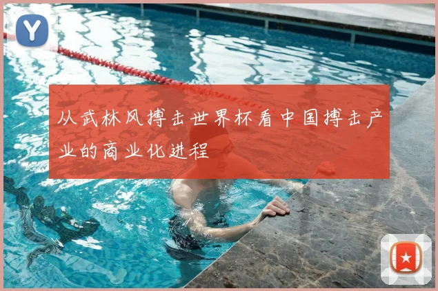 从武林风搏击世界杯看中国搏击产业的商业化进程