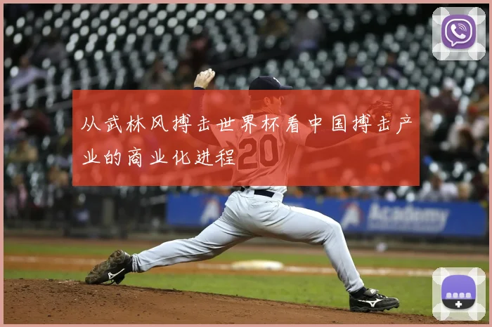 从武林风搏击世界杯看中国搏击产业的商业化进程