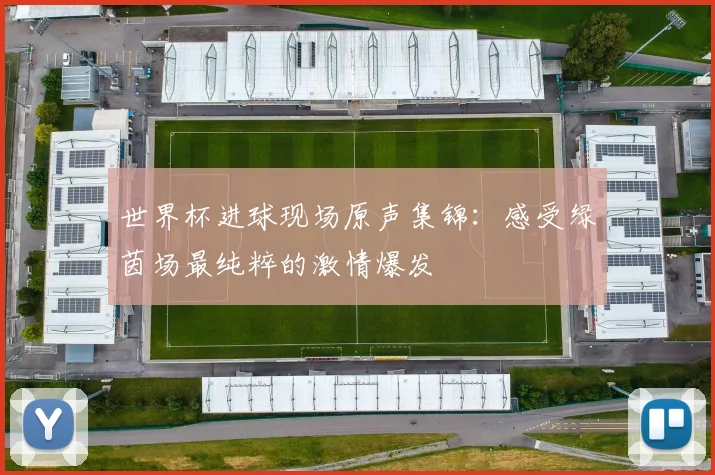 世界杯进球现场原声集锦：感受绿茵场最纯粹的激情爆发