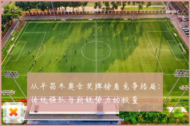 从平昌冬奥会奖牌榜看竞争格局：传统强队与新锐势力的较量
