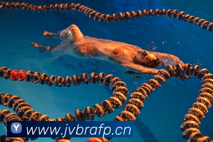 开云手机在线登录官网服务体系